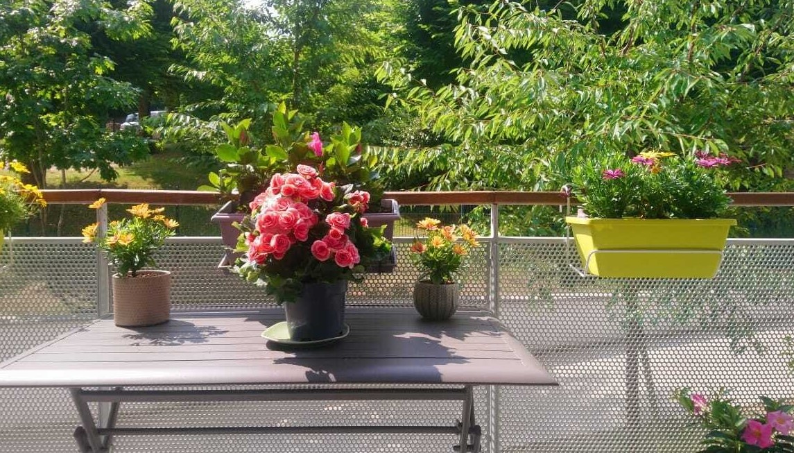 Residence Senior Jardins Arcadie Lagny - balcons fleuris