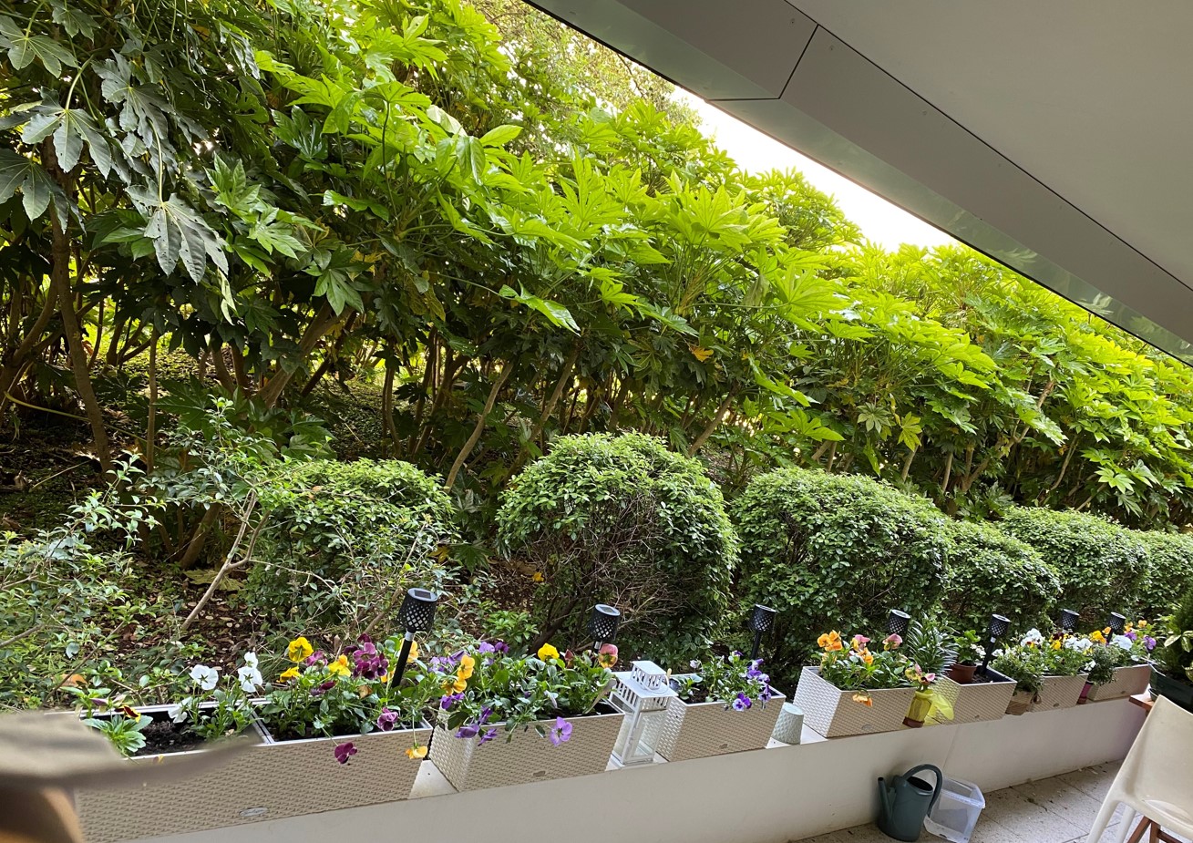 Residence Senior Jardins Arcadie Anglet - balcons fleuris